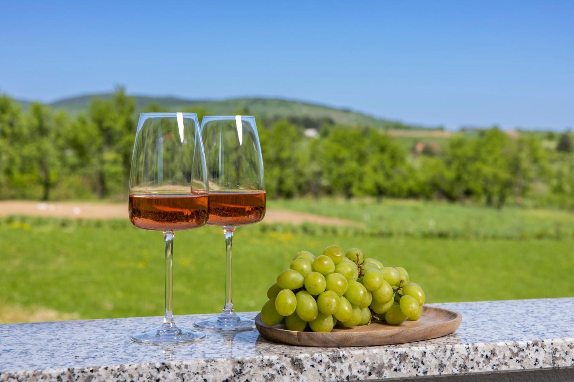 Villa Artemis Plitvička Jezera Εξωτερικό φωτογραφία